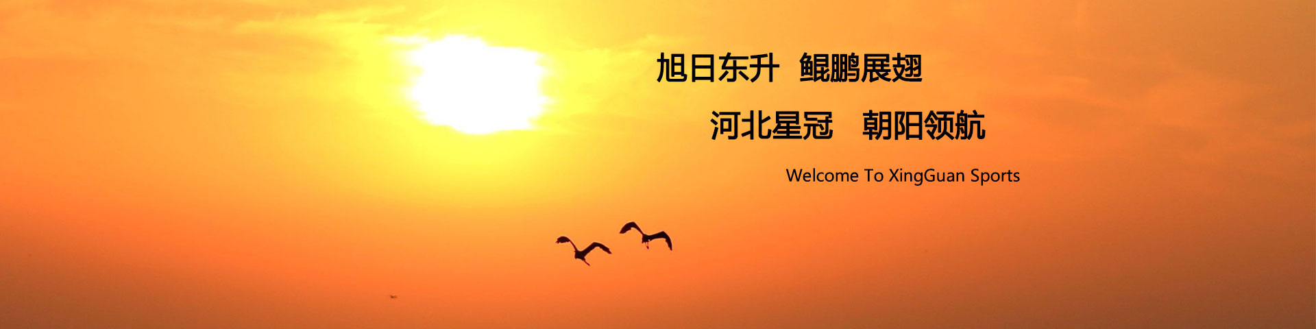 BB贝博平台下载